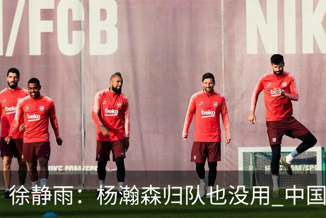 徐静雨：杨瀚森归队也没用 中国男篮跟日本已完全不是一个等级